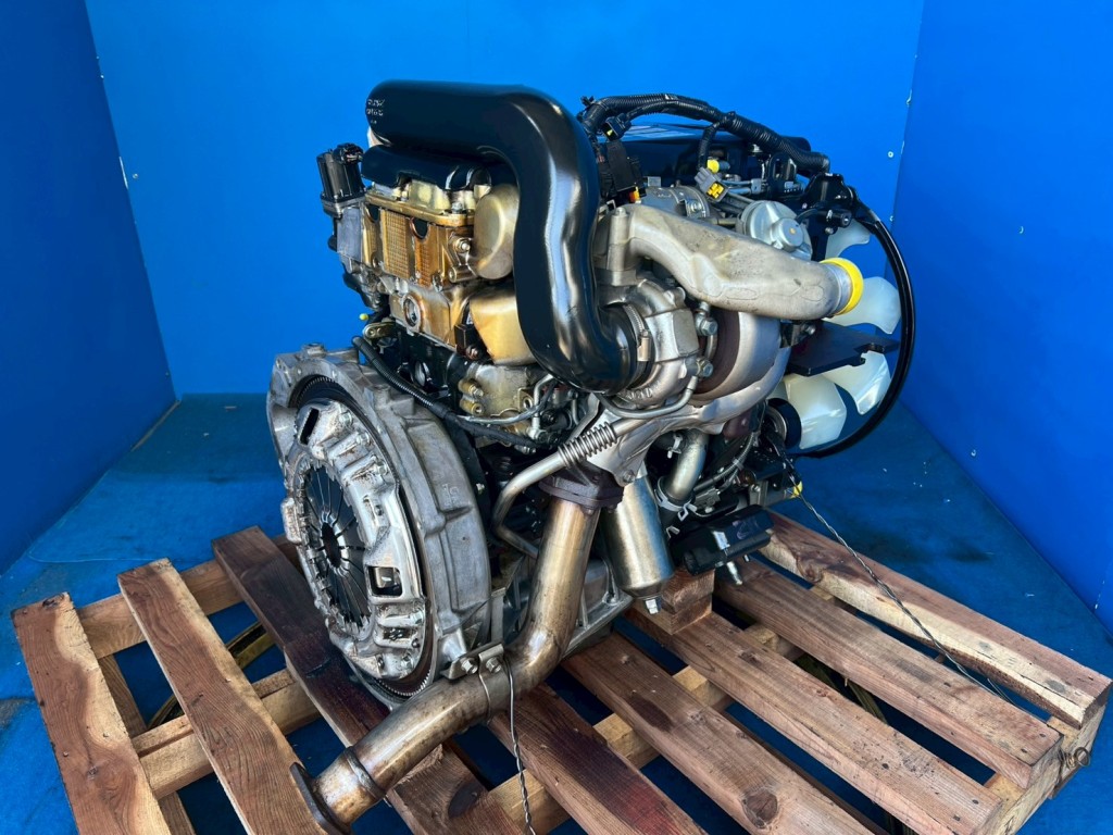 画像 5枚目